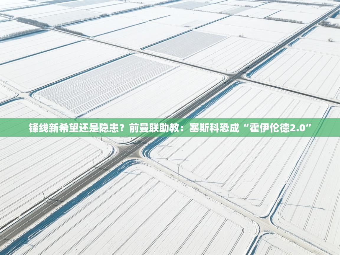 锋线新希望还是隐患?前曼联助教:塞斯科恐成“霍伊伦德2.0” 第1张