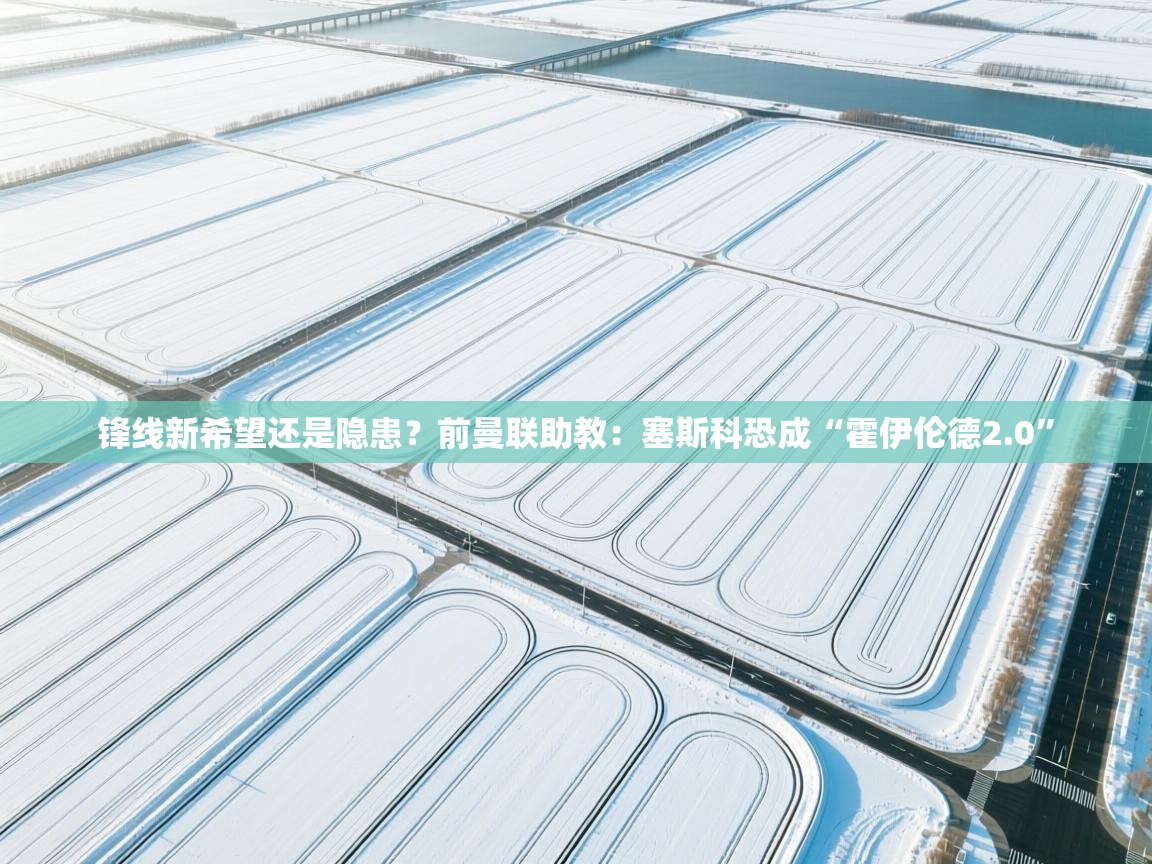 锋线新希望还是隐患?前曼联助教:塞斯科恐成“霍伊伦德2.0” 第2张