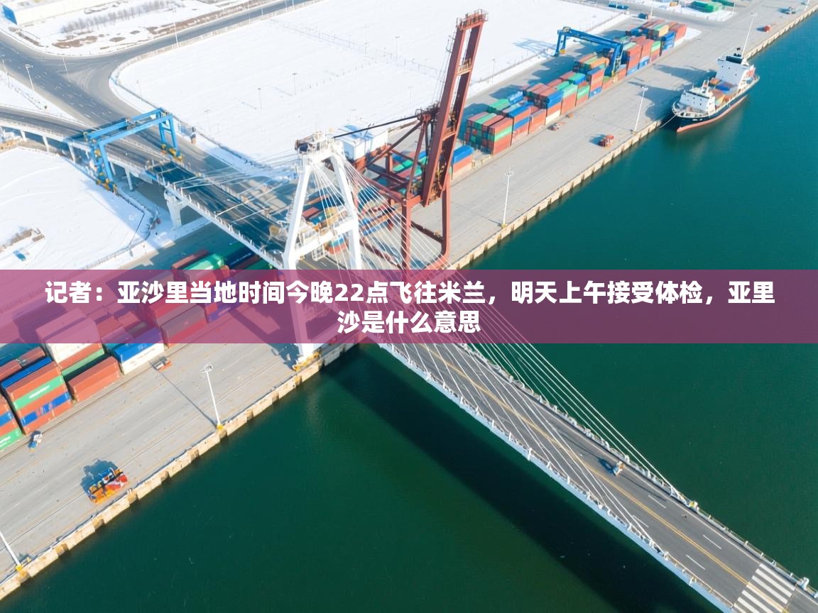 记者：亚沙里当地时间今晚22点飞往米兰，明天上午接受体检，亚里沙是什么意思  第1张