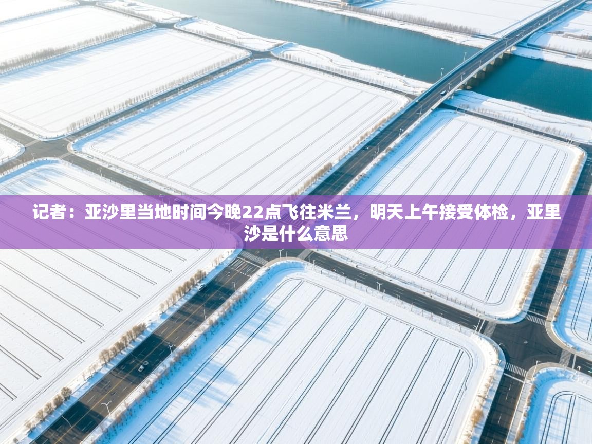记者：亚沙里当地时间今晚22点飞往米兰，明天上午接受体检，亚里沙是什么意思  第2张