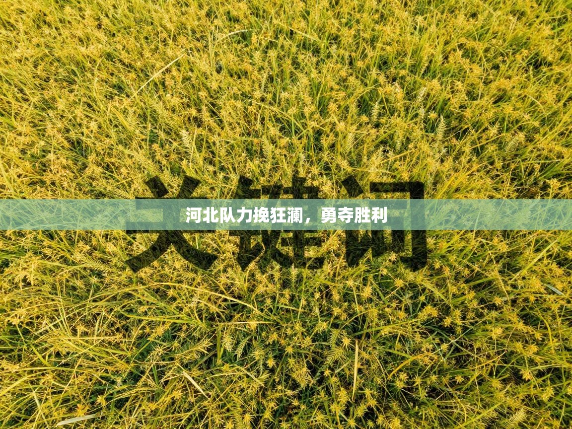 河北队力挽狂澜，勇夺胜利  第2张