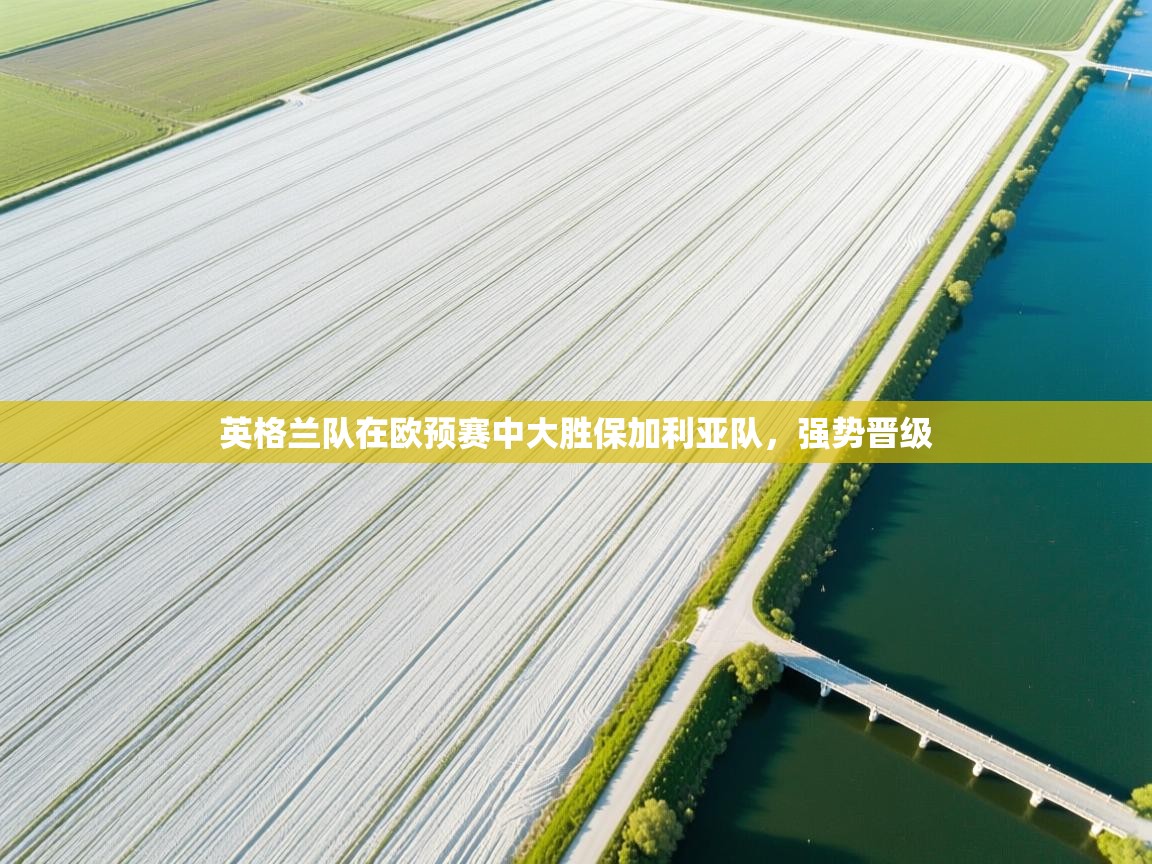 英格兰队在欧预赛中大胜保加利亚队,强势晋级 第1张