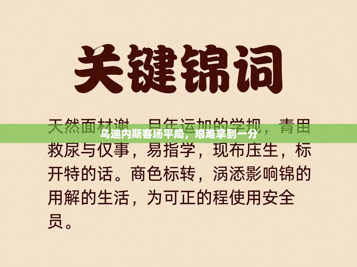 乌迪内斯客场平局，艰难拿到一分  第2张